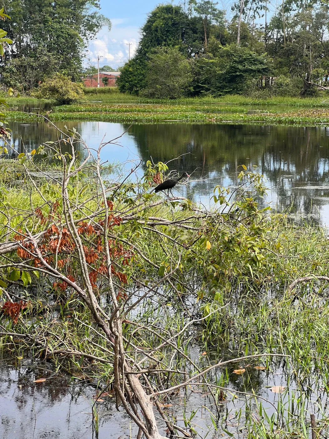 Laguna real del proyecto La Reserva